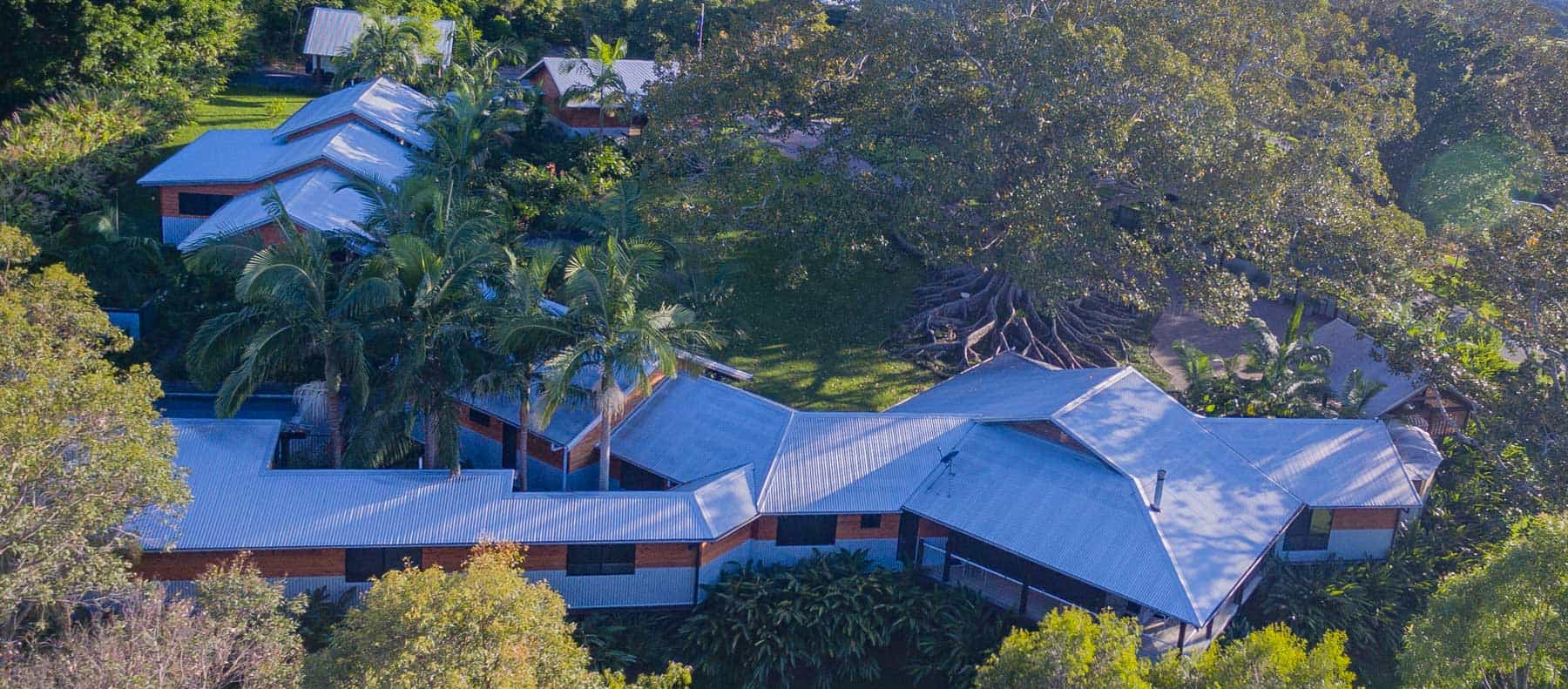creative_homes_tree_house_14.webp