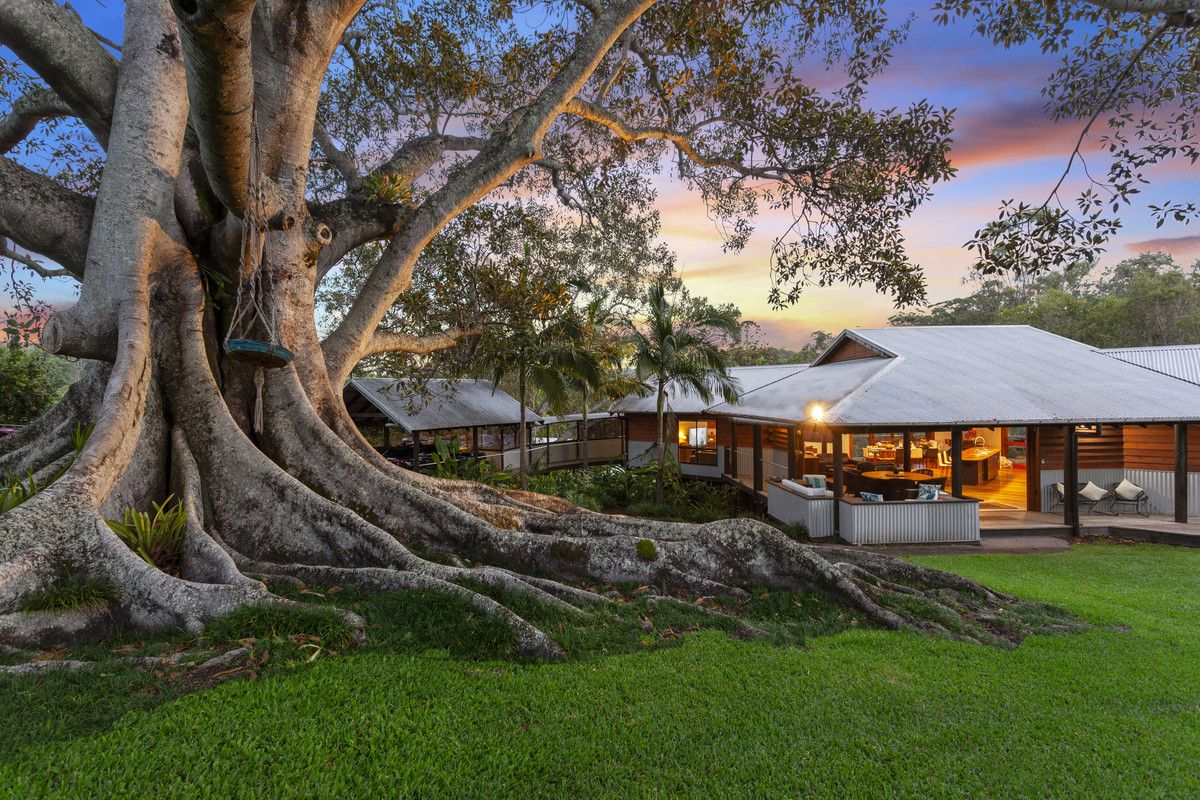 creative_homes_tree_house_5.webp