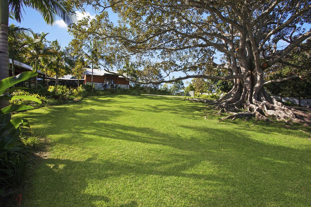 creative_homes_tree_house_7.webp